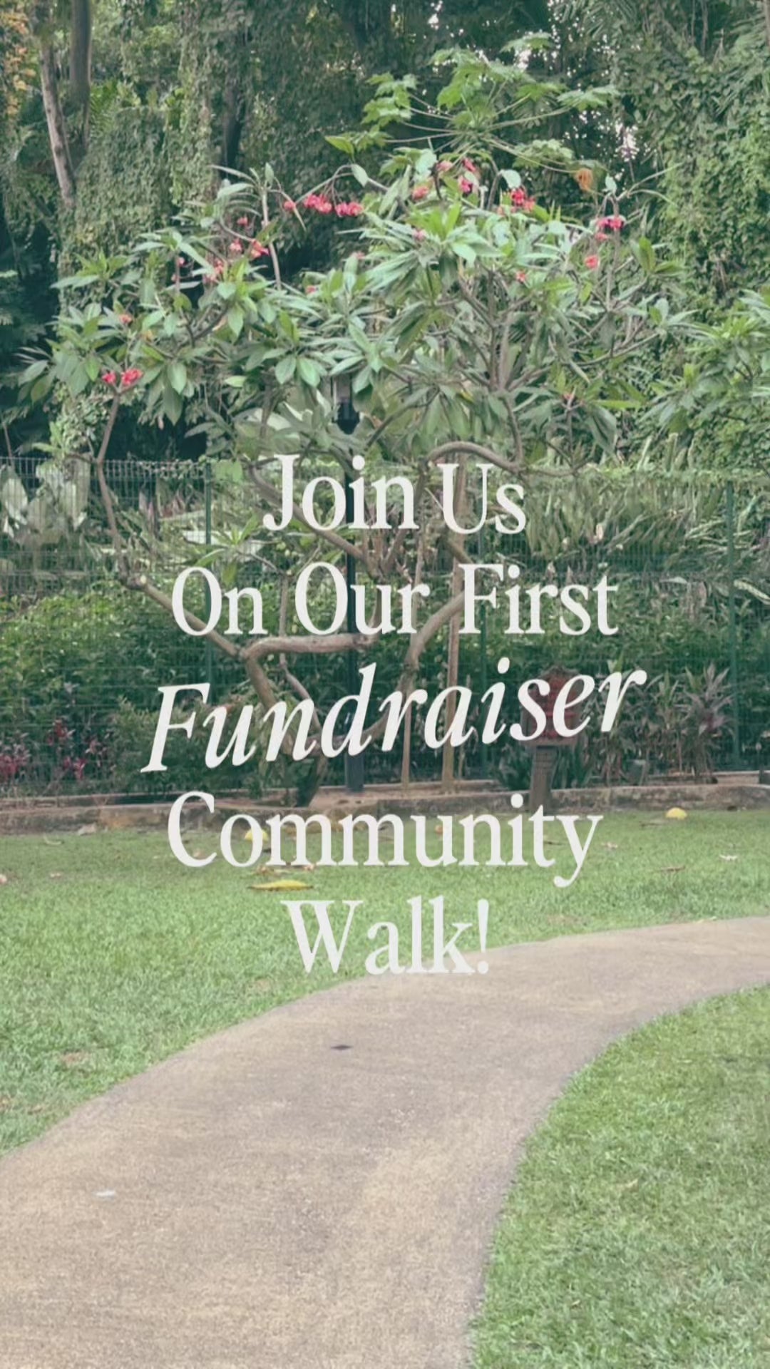 🎉 Jammy’s 2nd Birthday Fundraising Walk 🐾💚